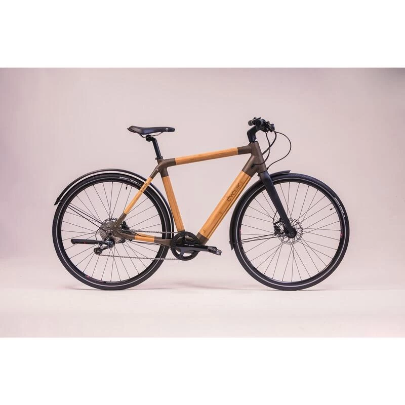 Le Vélo électrique Végétal Et éco-responsable à Cadre Haut 1 Le Vélo électrique Végétal Et éco-responsable à Cadre Haut