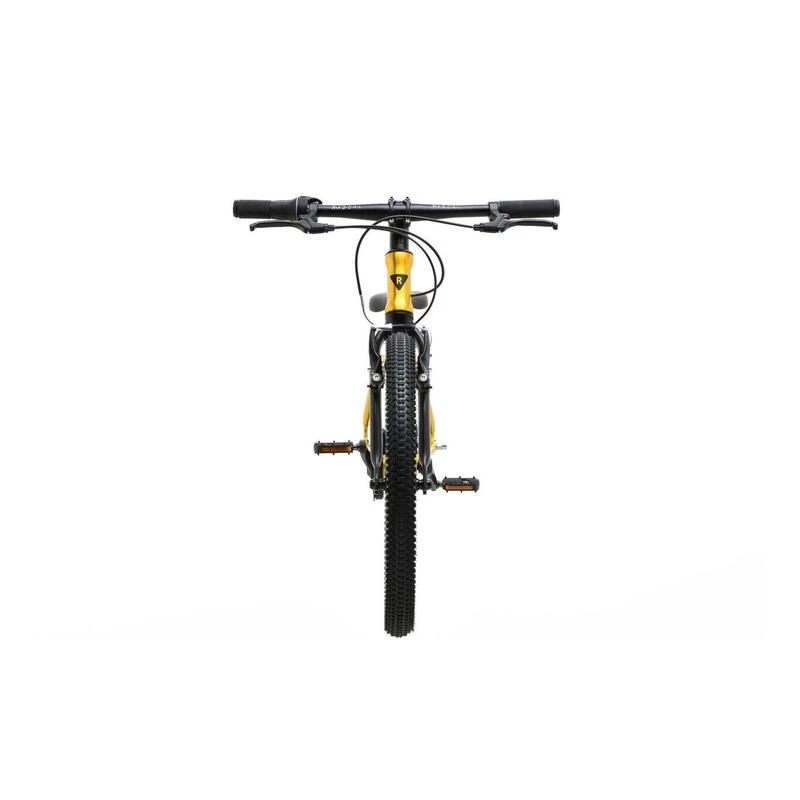 RASCAL 20 3speed Titan 2 RASCAL 20 3speed Titan – Image 2