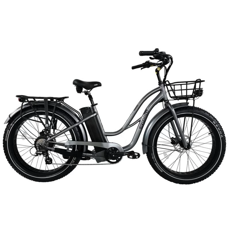 Vélo électrique Fat Bike Mixte/ Femme 26", 250W, Batterie 20Ah 720Wh 1 Vélo électrique Fat Bike Mixte/ Femme 26", 250W, Batterie 20Ah 720Wh